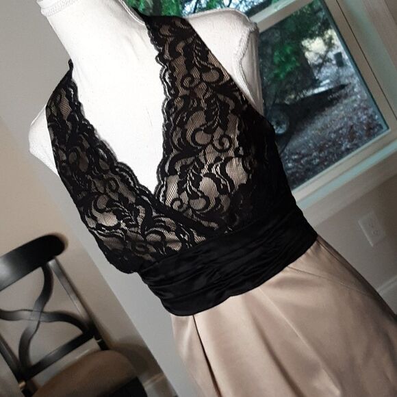 Max & Cleo New Open Back Zip Side Lined Lace Bodice Dress - Picture 2 of 15